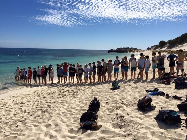 Rotto 2016